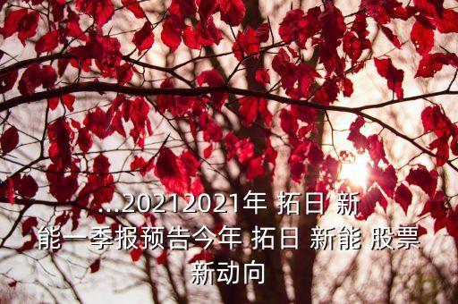 ...20212021年 拓日 新能一季報(bào)預(yù)告今年 拓日 新能 股票新動向