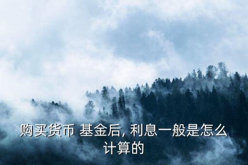 購買貨幣 基金后, 利息一般是怎么計(jì)算的