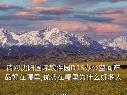 請(qǐng)問沈陽國際軟件園D15辦公空間產(chǎn)品好在哪里,優(yōu)勢(shì)在哪里為什么好多人...