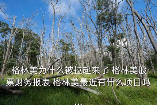  格林美為什么被拉起來了 格林美股票財(cái)務(wù)報(bào)表 格林美最近有什么項(xiàng)目嗎...