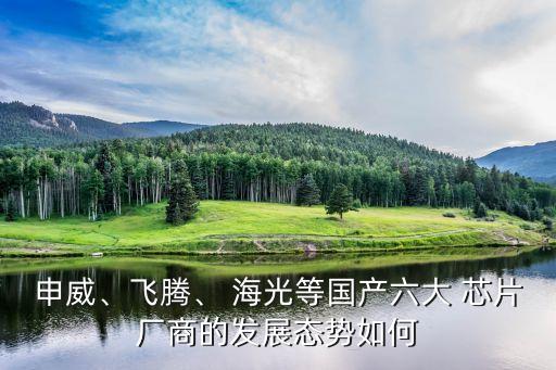 申威、飛騰、 海光等國產(chǎn)六大 芯片廠商的發(fā)展態(tài)勢如何