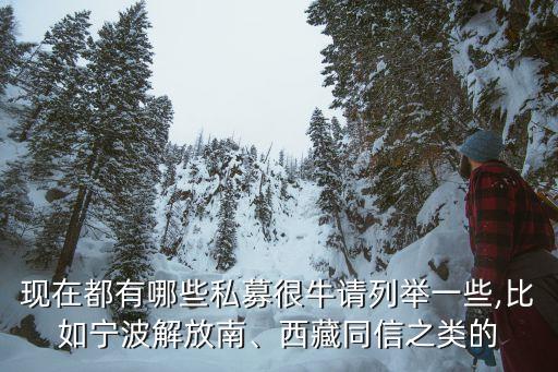 現(xiàn)在都有哪些私募很牛請列舉一些,比如寧波解放南、西藏同信之類的