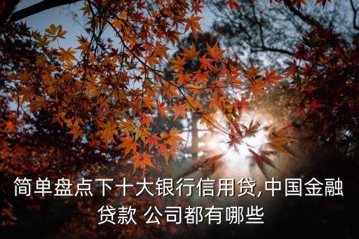 簡(jiǎn)單盤(pán)點(diǎn)下十大銀行信用貸,中國(guó)金融 貸款 公司都有哪些