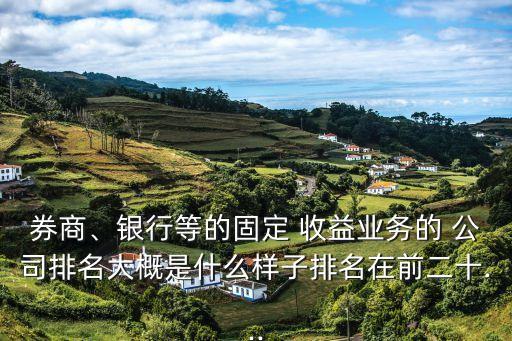 券商、銀行等的固定 收益業(yè)務的 公司排名大概是什么樣子排名在前二十...