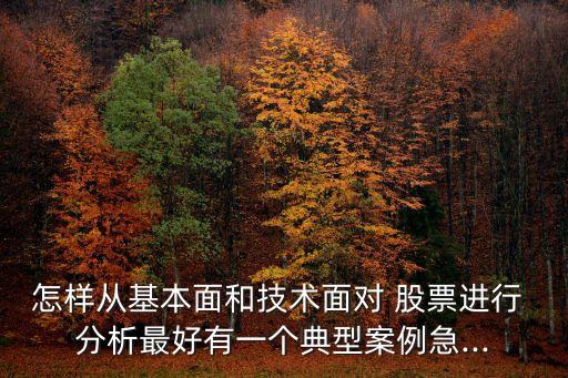 怎樣從基本面和技術(shù)面對 股票進(jìn)行 分析最好有一個(gè)典型案例急...