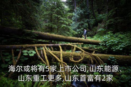 海爾或?qū)⒂?家上市公司,山東能源、山東重工更多,山東首富有2家