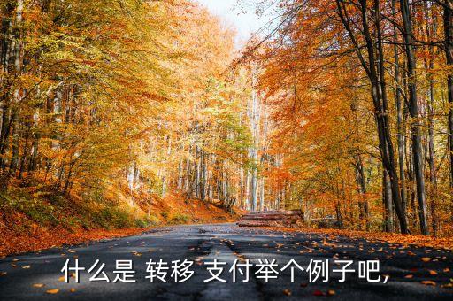 中國現(xiàn)金轉移支付項目,政府轉移支付包括哪些項目