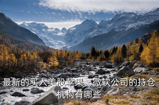 最新的買入美股蘋果、微軟公司的持倉機構有哪些