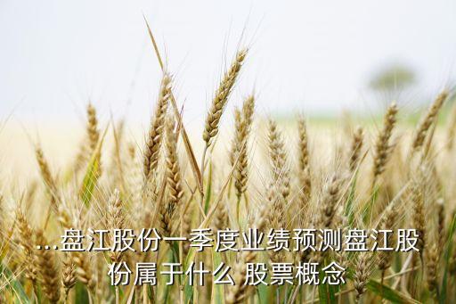 ...盤江股份一季度業(yè)績預測盤江股份屬于什么 股票概念