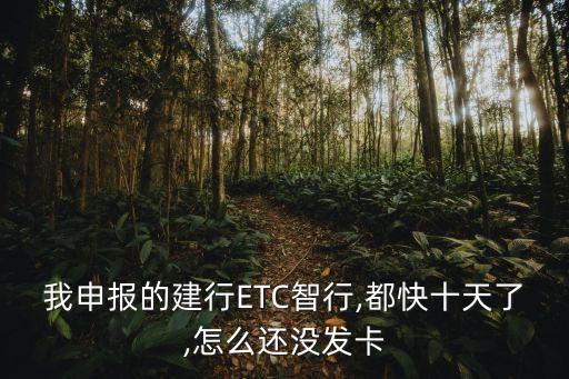 我申報(bào)的建行ETC智行,都快十天了,怎么還沒(méi)發(fā)卡