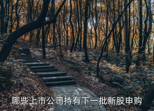 哪些上市公司持有下一批新股申購(gòu)