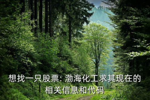 想找一只股票: 渤?；で笃洮F(xiàn)在的相關(guān)信息和代碼