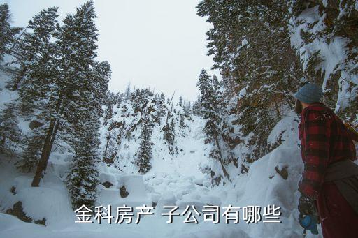 金科房產(chǎn) 子公司有哪些