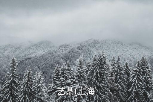錦聚成轉讓股票,聚成半導體股票