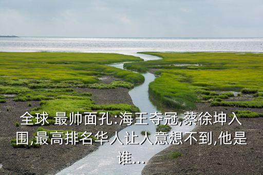 中國(guó)最帥總裁圖片,中國(guó)第一帥哥是誰?