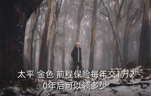  太平 金色 前程保險(xiǎn)每年交1萬20年后可以領(lǐng)多少