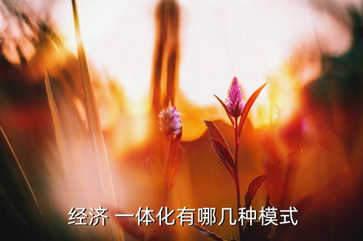 中國的區(qū)域經(jīng)濟一體化,區(qū)域經(jīng)濟一體化對國際貿易的影響
