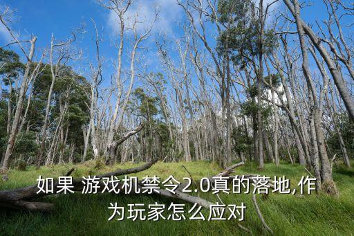 如果 游戲機禁令2.0真的落地,作為玩家怎么應對