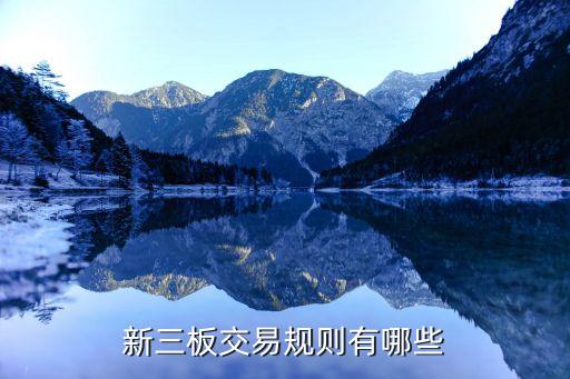 全國股份轉(zhuǎn)讓系統(tǒng)股票發(fā)行業(yè)務指引第3條