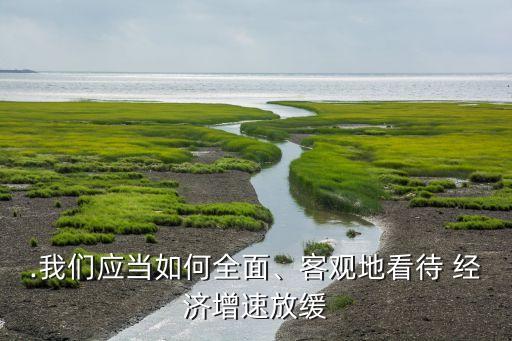.我們應(yīng)當(dāng)如何全面、客觀地看待 經(jīng)濟(jì)增速放緩