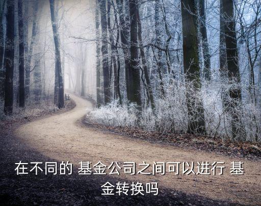 在不同的 基金公司之間可以進行 基金轉換嗎