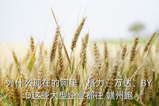 為什么現(xiàn)在的阿里、格力、萬達、BYD這些大型企業(yè)都往 贛州跑