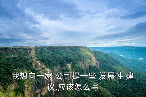 我想向一家 公司提一些 發(fā)展性 建議,應(yīng)該怎么寫(xiě)