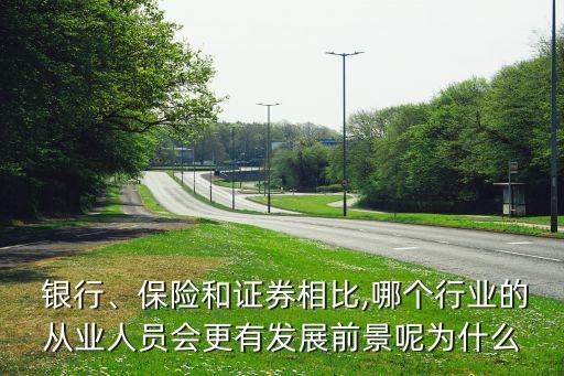  銀行、保險(xiǎn)和證券相比,哪個(gè)行業(yè)的從業(yè)人員會(huì)更有發(fā)展前景呢為什么