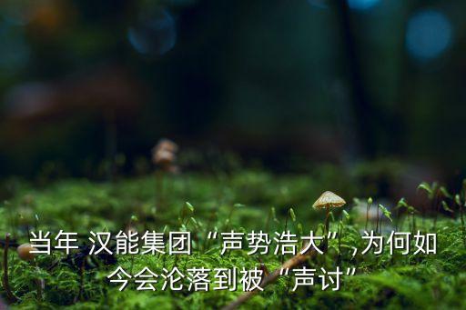 當(dāng)年 漢能集團(tuán)“聲勢浩大”,為何如今會淪落到被“聲討”