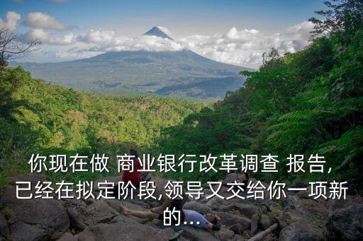 你現(xiàn)在做 商業(yè)銀行改革調(diào)查 報告,已經(jīng)在擬定階段,領(lǐng)導(dǎo)又交給你一項(xiàng)新的...