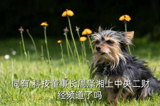  同有 科技董事長周澤湘上中央二財(cái)經(jīng)頻道了嗎