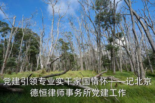 合肥德恒投資,德恒合肥律師事務所