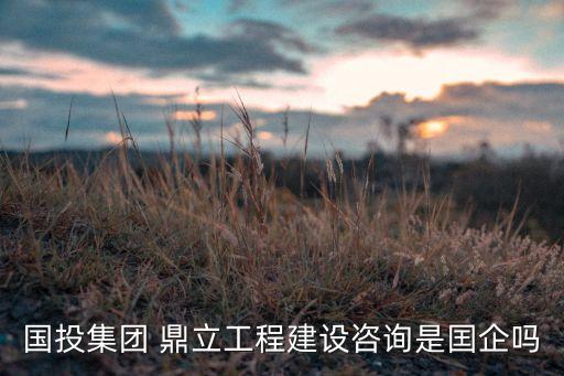 國投集團 鼎立工程建設咨詢是囯企嗎