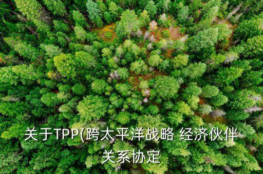 關(guān)于TPP(跨太平洋戰(zhàn)略 經(jīng)濟伙伴關(guān)系協(xié)定
