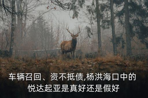 車(chē)輛召回、資不抵債,楊洪?？谥械?悅達(dá)起亞是真好還是假好