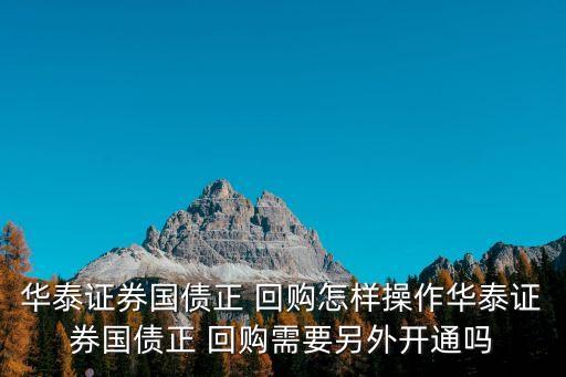華泰證券國(guó)債正 回購(gòu)怎樣操作華泰證券國(guó)債正 回購(gòu)需要另外開(kāi)通嗎