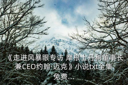 《走進(jìn)風(fēng)暴眼專(zhuān)訪(fǎng) 摩根士丹利董事長(zhǎng)兼CEO約翰·邁克》小說(shuō)txt全集免費(fèi)...