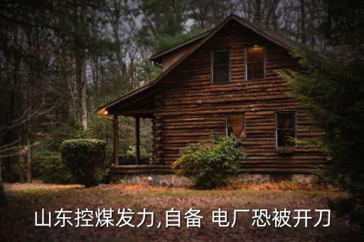 山東控煤發(fā)力,自備 電廠恐被開(kāi)刀