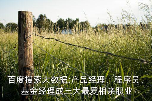 百度搜索大數(shù)據(jù):產(chǎn)品經(jīng)理、程序員、 基金經(jīng)理成三大最愛相親職業(yè)