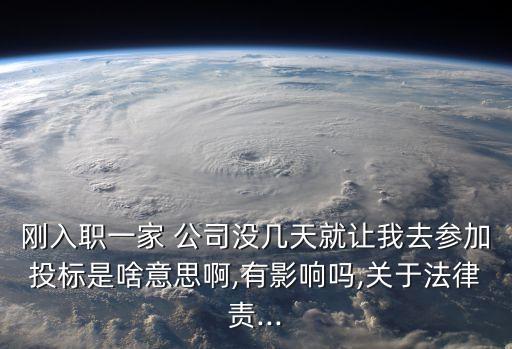 剛?cè)肼氁患?公司沒幾天就讓我去參加投標是啥意思啊,有影響嗎,關(guān)于法律責...