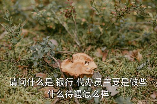 請(qǐng)問(wèn)什么是 銀行 代辦員主要是做些什么待遇怎么樣