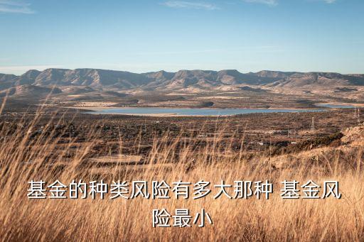  基金的種類風(fēng)險(xiǎn)有多大那種 基金風(fēng)險(xiǎn)最小