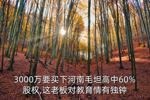 3000萬(wàn)要買(mǎi)下河南毛坦高中60%股權(quán),這老板對(duì)教育情有獨(dú)鐘