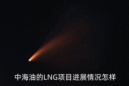  中海油的LNG項目進(jìn)展情況怎樣