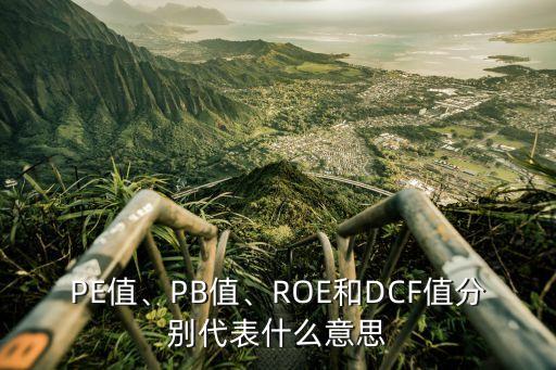 PE值、PB值、ROE和DCF值分別代表什么意思