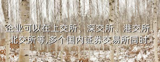 企業(yè)可以在上交所、深交所、港交所、北交所等,多個(gè)國(guó)內(nèi)證券交易所同時(shí)...