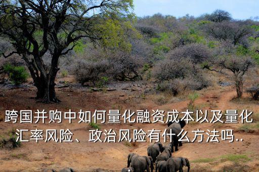 跨國并購中如何量化融資成本以及量化匯率風險、政治風險有什么方法嗎...