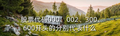  股票代碼000、002、300、600開頭的分別代表什么