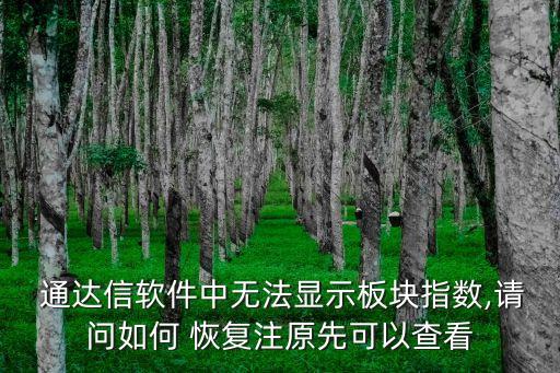 通達信自定義板塊股票誤刪求恢復(fù)