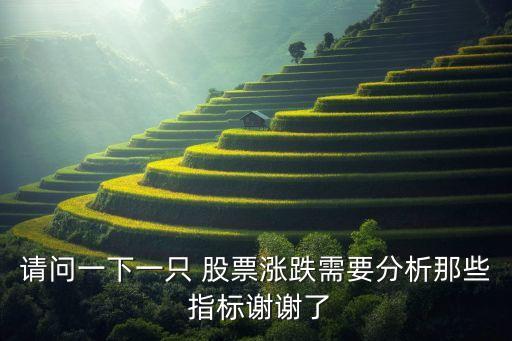 請問一下一只 股票漲跌需要分析那些 指標謝謝了